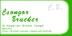 csongor brucker business card